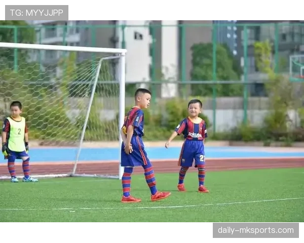 护腿板要求：裁判检验的三项关键条件